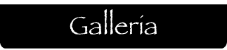 pulsanteGalleria